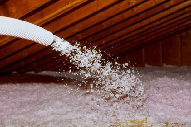 Best Cellulose Insulation in Highland Village, TX